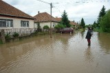 Thumbnail of DSC06883.JPG