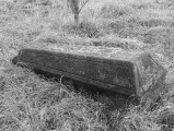 Thumbnail of DSCF2528.jpg