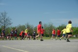 Thumbnail of DSC06185.JPG